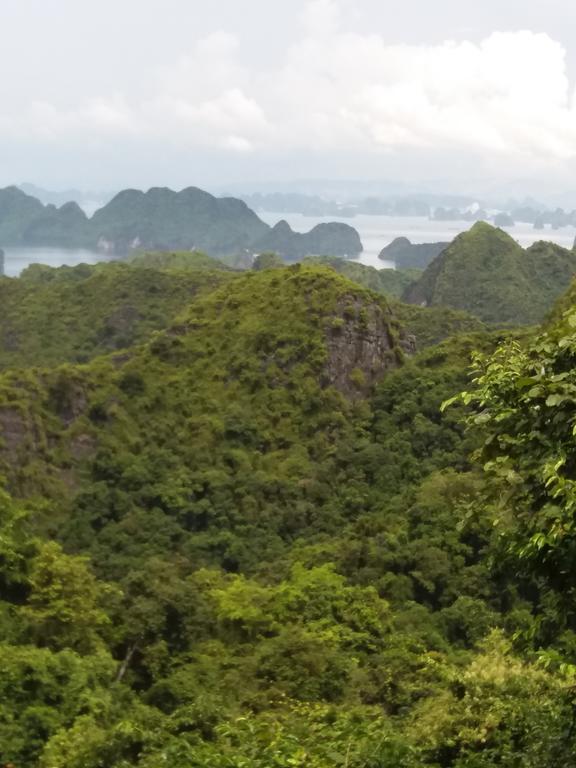Duc Tuan Hotel Thành phố Hải Phòng Ngoại thất bức ảnh